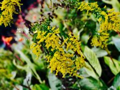 -艾溪湖湿地公园