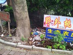 布满垃圾的洪安围码头-黄埔古港