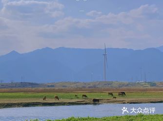 广东周边旅行｜假装在内蒙古