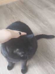 -竹马造型工作室