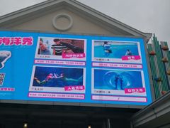 -海合安成都极地海洋公园