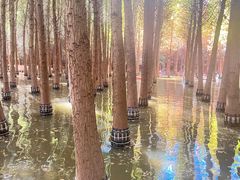 -捞渔河湿地公园