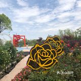 花开中国梦[加油][礼花][礼花][礼花]