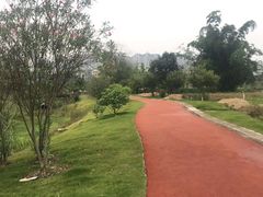 -广西壮族自治区药用植物园