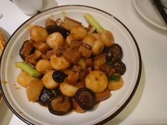 马蹄冬菇焖五花肉-清晖小苑•顺德地方菜(壹海城店)