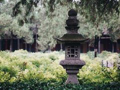 -洛阳白马寺