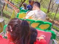 -朝阳公园游乐园