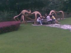 -四川农业大学(雅安校区)