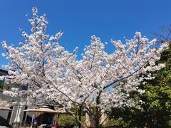-石湖景区