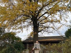 -宝界山林公园