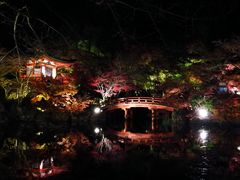 -醍醐寺