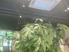 -金柱大盘鸡(波斯坦店)
