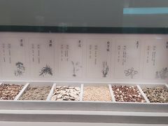 -中国湿地博物馆