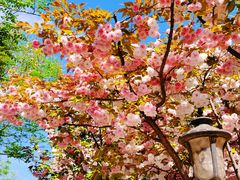 -天津五大道文化旅游区