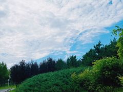 -马家湾湿地公园
