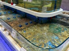 -大众海鲜(巨龙北路店)