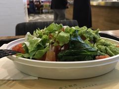 -油梨树 AVOCADO TREE(亮马桥店)