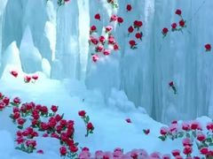 -洛阳白云山景区