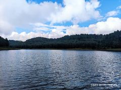 -大浪坝森林公园