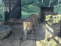 -昆明动物园
