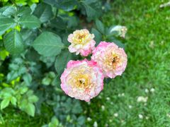 -人民公园(罗湖区)