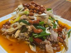 -宝山一号馕坑肉
