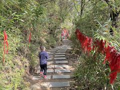 -少华山国家森林公园