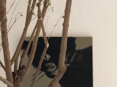 -古耳咖啡(北锣店)