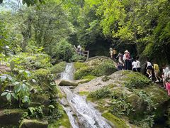 -青城山