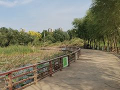 -绿堤公园