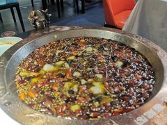 -雲蜀龙阁·金牌水煮鱼(方庄店)