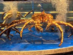 -上和臻品中国菜(花园街店)