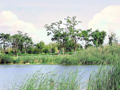 -呈贡滇池生态湿地公园