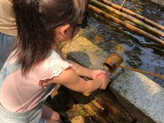 -天目湖山水园