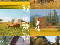 -良渚古城遗址公园