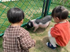 -太阳岛度假酒店