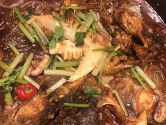 -老板恋上鱼(印象城店)