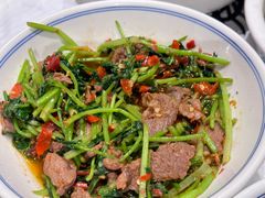 -壹盏灯(惠农店)