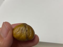 -粒上皇(上海瞿溪路店)