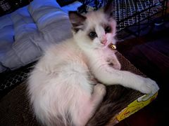 -南京天堂隔壁酒吧