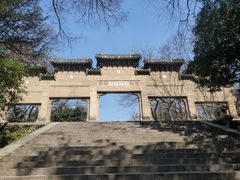 -灵谷景区
