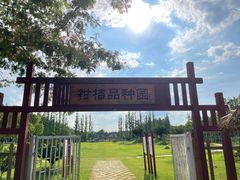 -上海长兴岛郊野公园