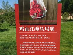 -北京大葆台遗址博物馆