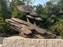 -杭州植物园