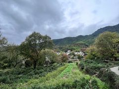 -塔川景区