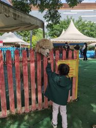 -萌宠亲子动物乐园(槐房万达店)