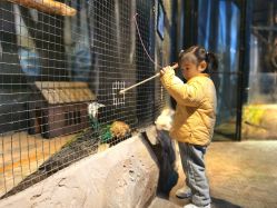 -酷嗒动物文化乐园(cutezoo西溪乐天城店)