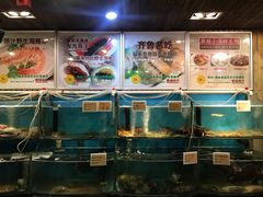 水产区-福来齐·鲁菜海鲜·渔家菜(朝阳街分店)