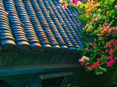 -深圳国际园林花卉博览园