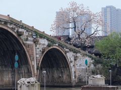 -运河游船(武林门码头)